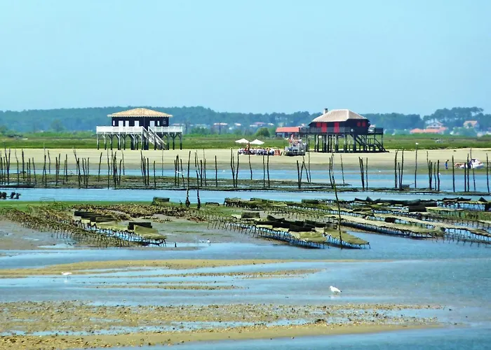 Les Pieds Dans L'eau By Interhome Apartment Arcachon