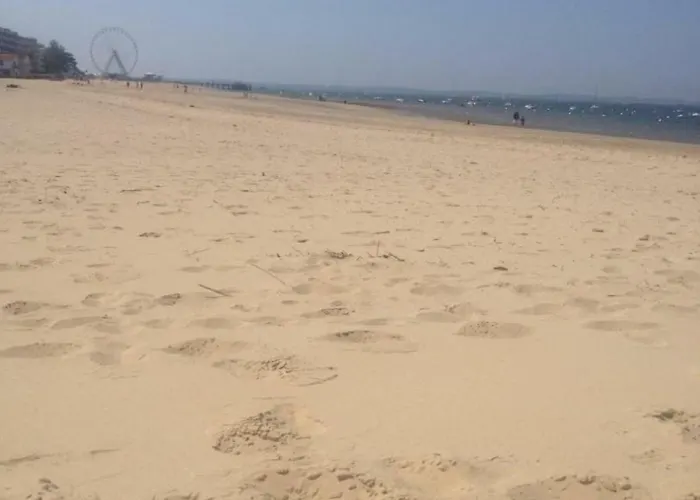 Les Pieds Dans L'eau By Interhome Apartment